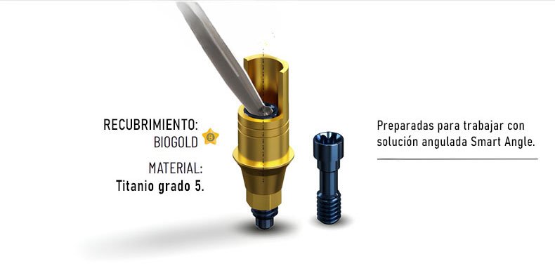 Ti Base Aditamento Angulable Smart Implant Solutions Aditamentos Sis 